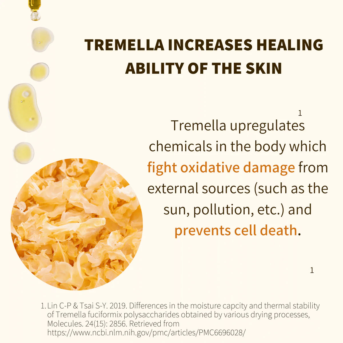 AlluraOne™   Rejuvenating Tremella & Reishi Serum - by Fungi Guru